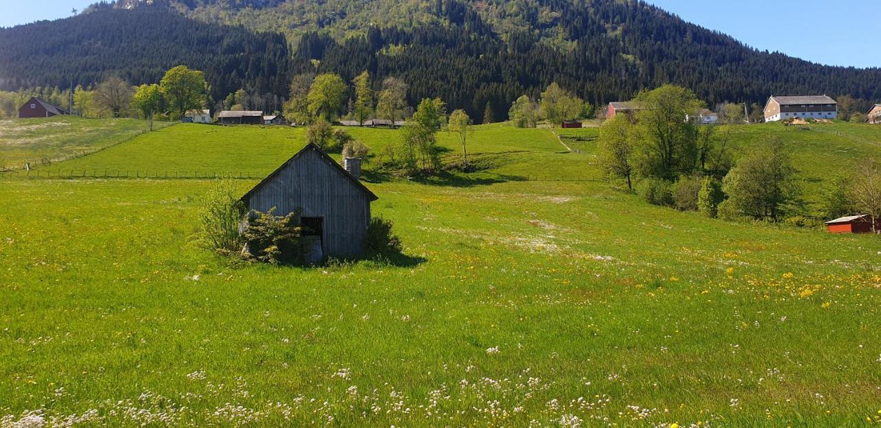 New And Exclusive Cottage In Voss With A Great View Skulestadmo Kültér fotó